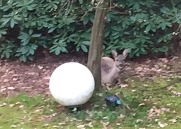 Atelier Am Suedhang Apartmán