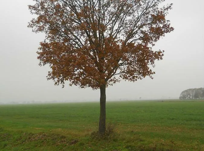 Appartement Atelier Am Suedhang Worpswede